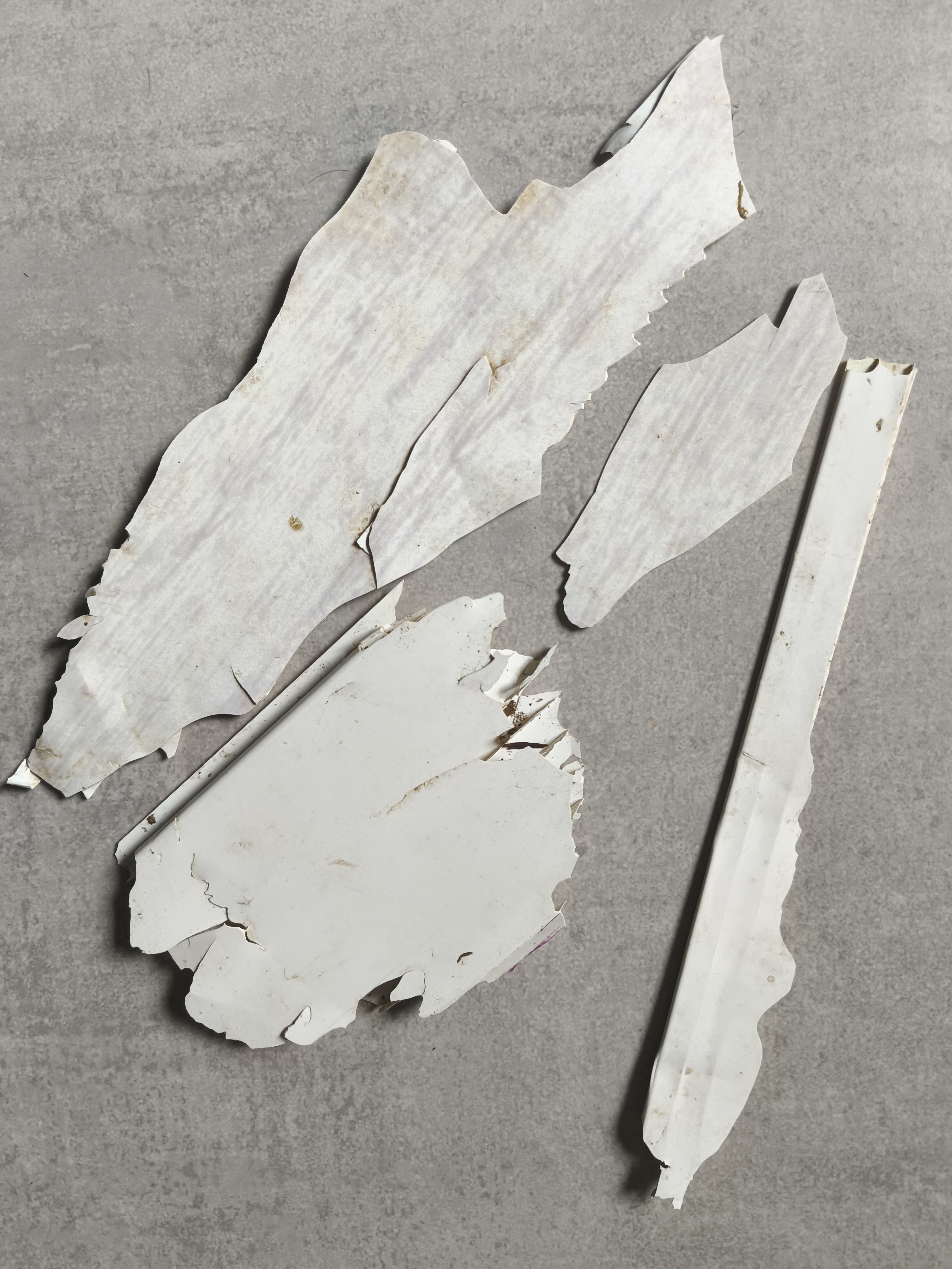 debris volet
