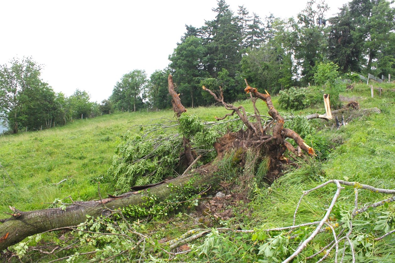 tornade16