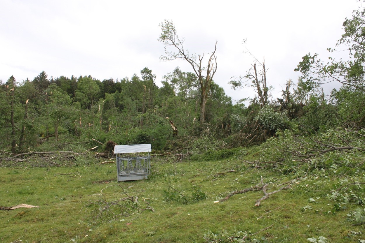 tornade26