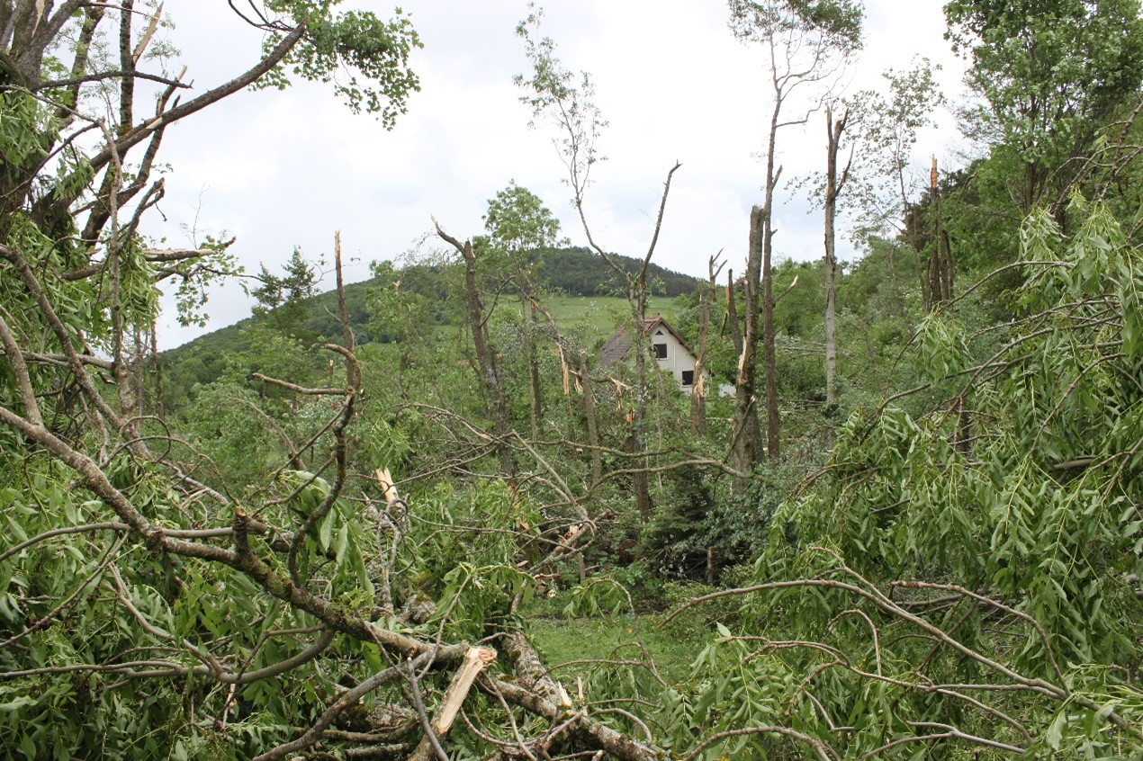 tornade28