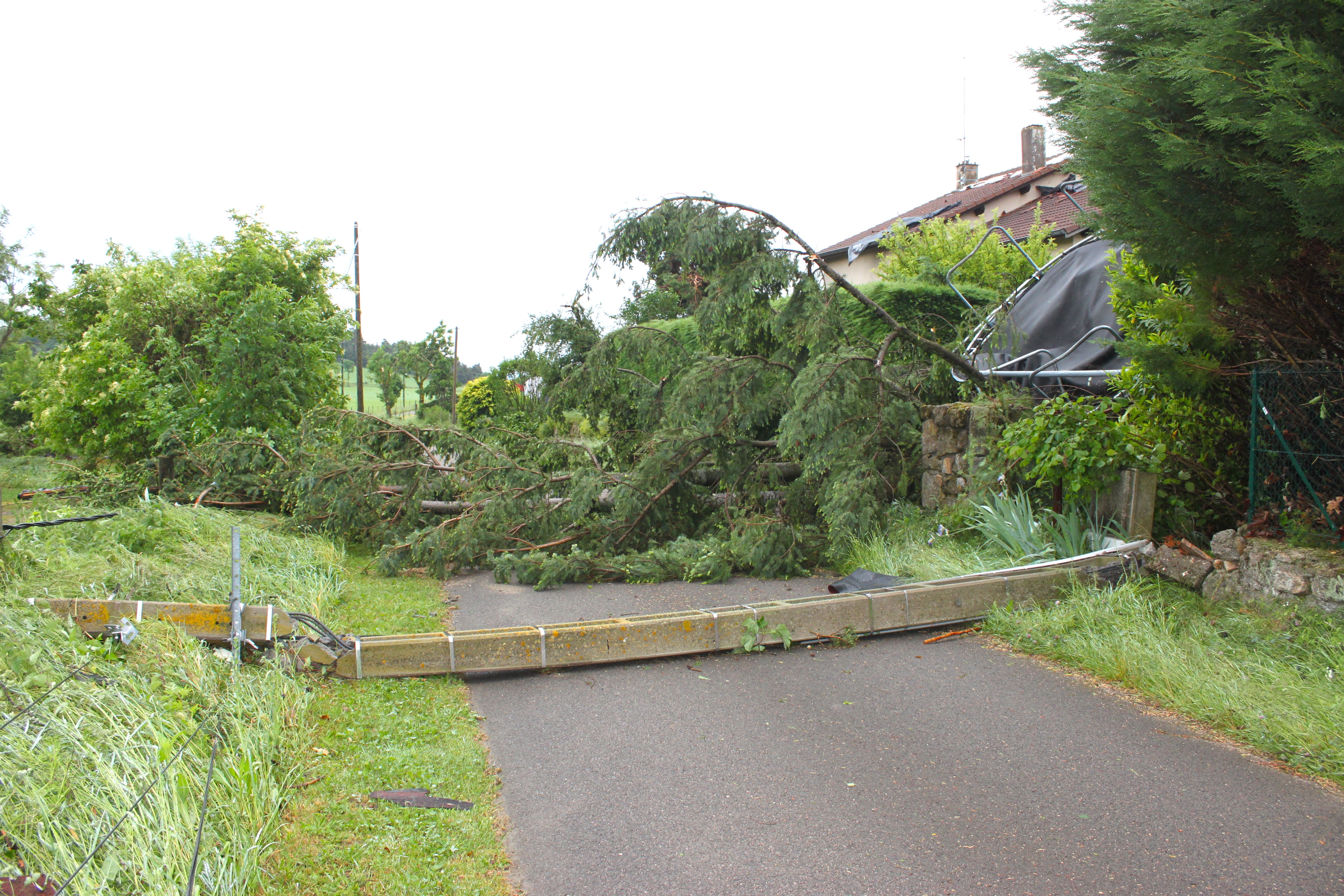 tornade3
