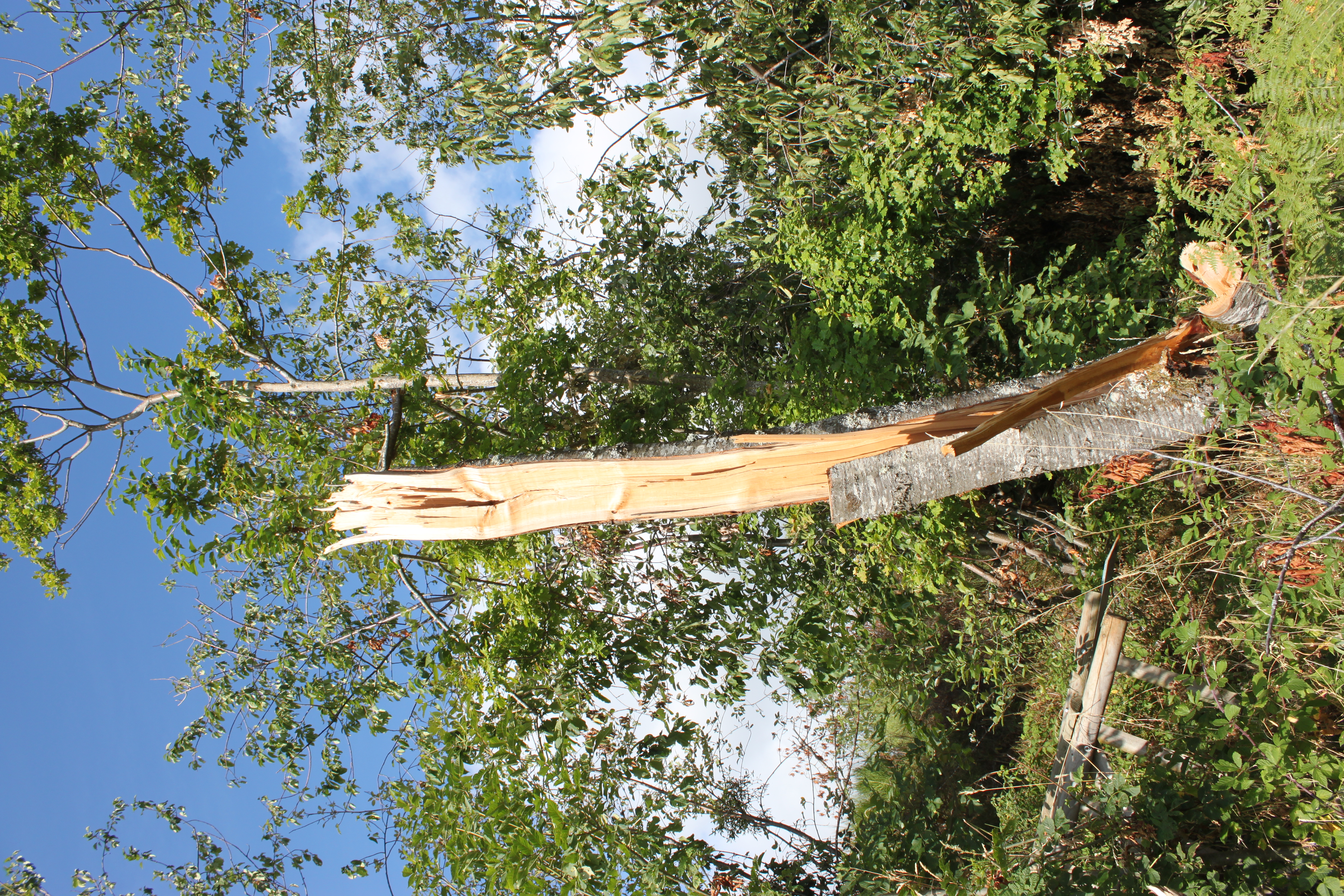 tornade30