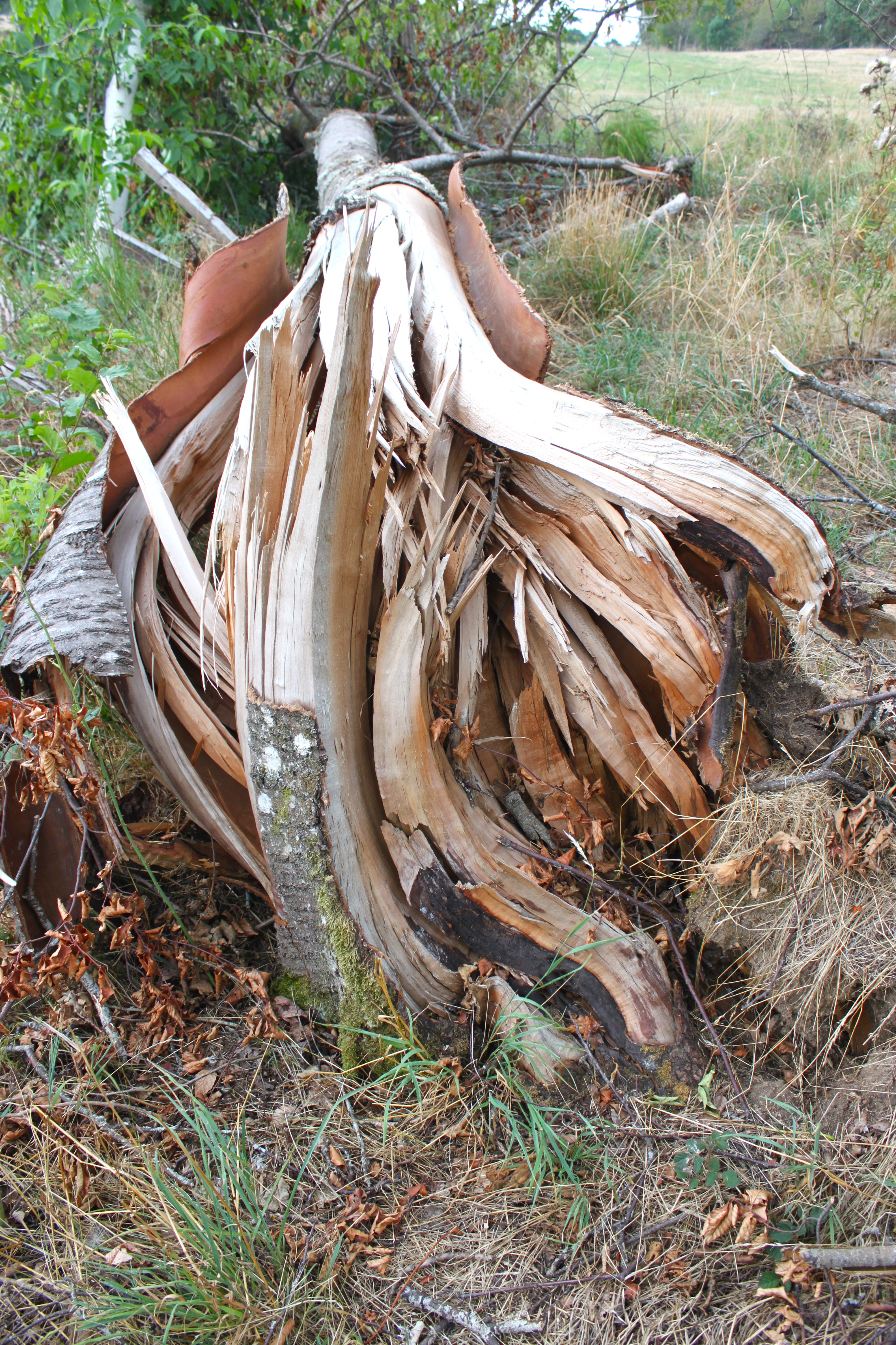 tornade32