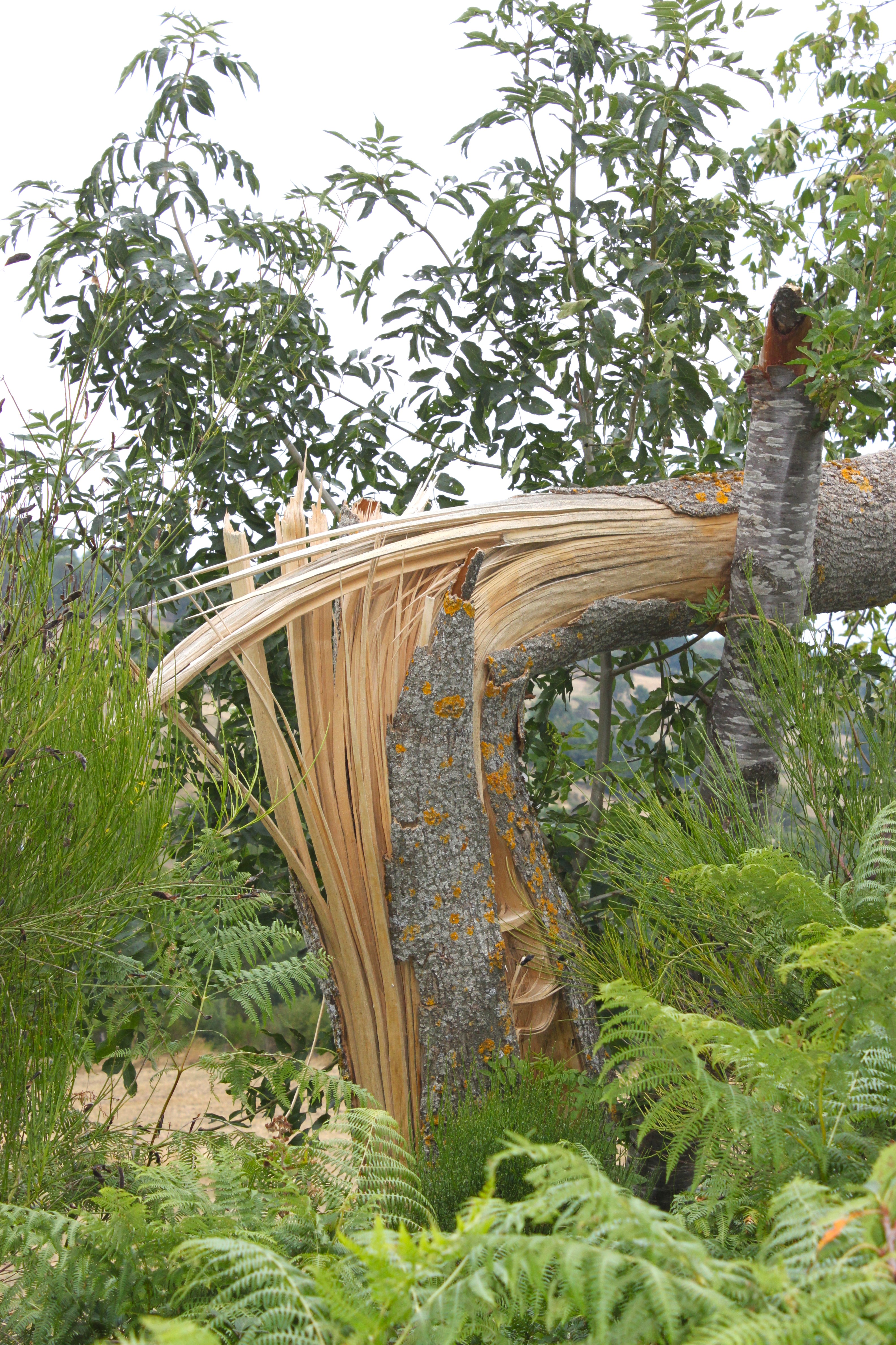tornade34