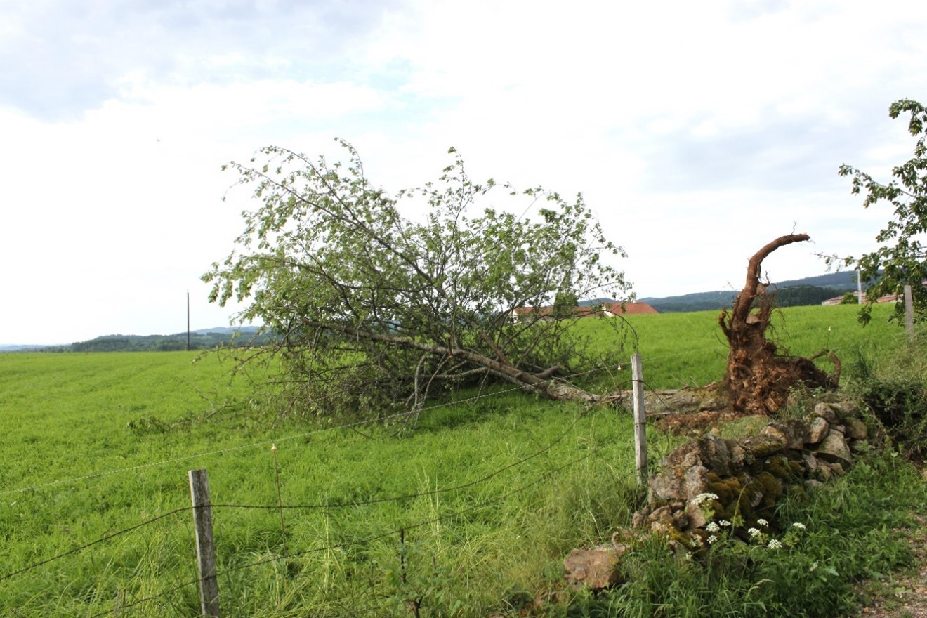 tornade9